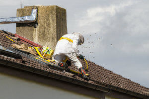 Wespennest enfernen Basel
